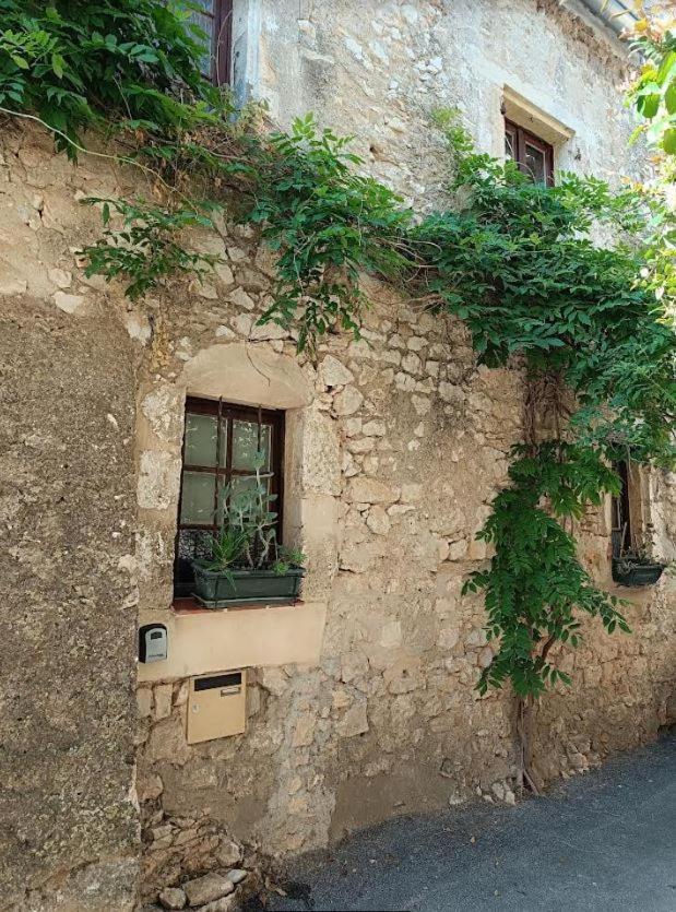 Séjour chez l'habitant De Charme 30m2